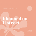 Bloomed On U Street Candle